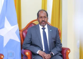 Somali parliament backs constitutional changes that could extend president’s term.